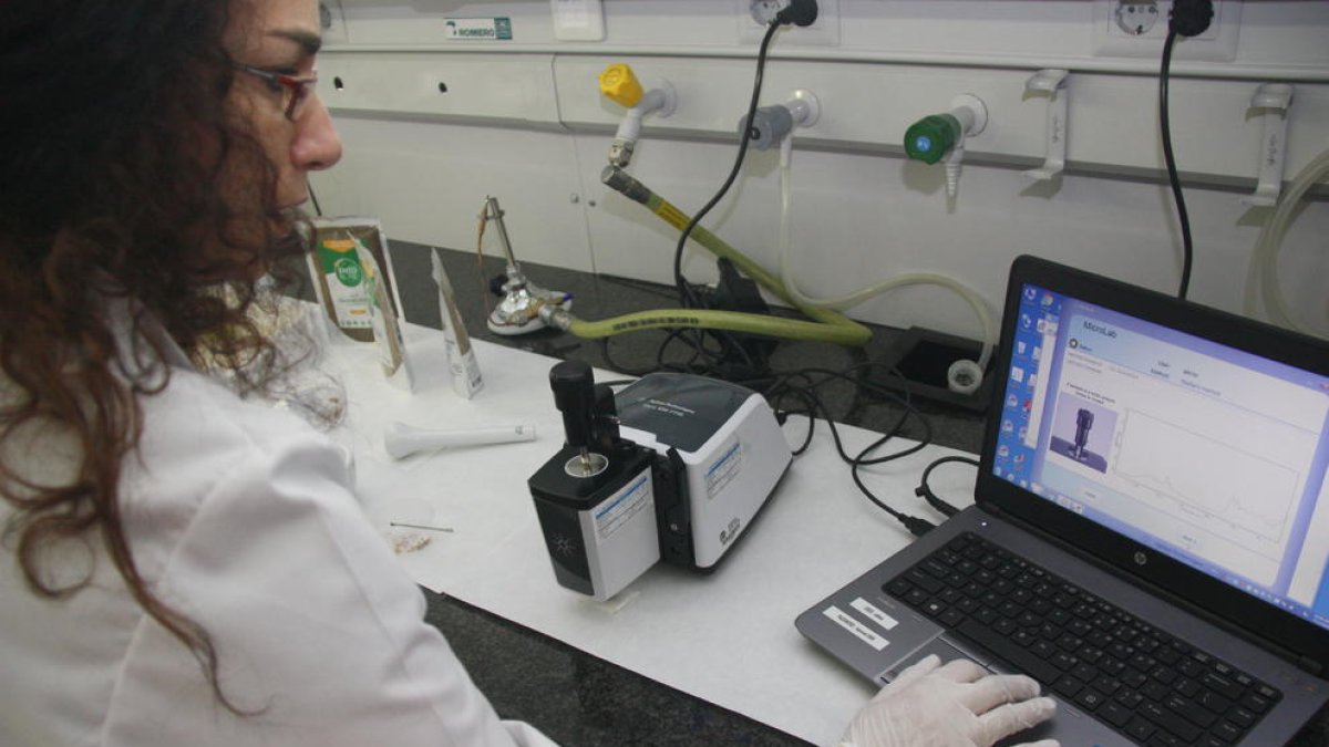Pla mitjà de Sílvia de Lamo analitzant amb l'ordinador la composició química d'un insecte. Foto del 6 d'agost del 2019 (Horitzontal).