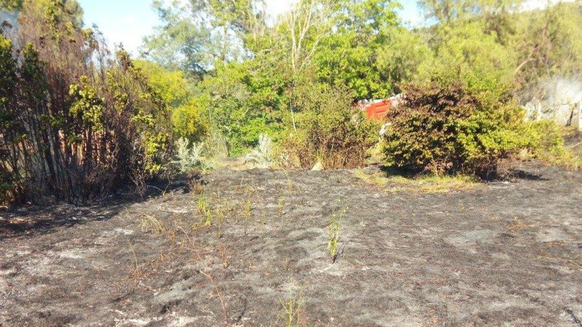 El fuego se ha declarado en la zona del Hort d'Altadill.