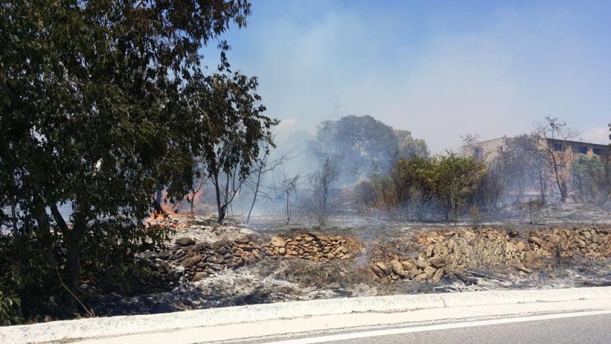 Imatge de l'incendi dels Pallaresos.