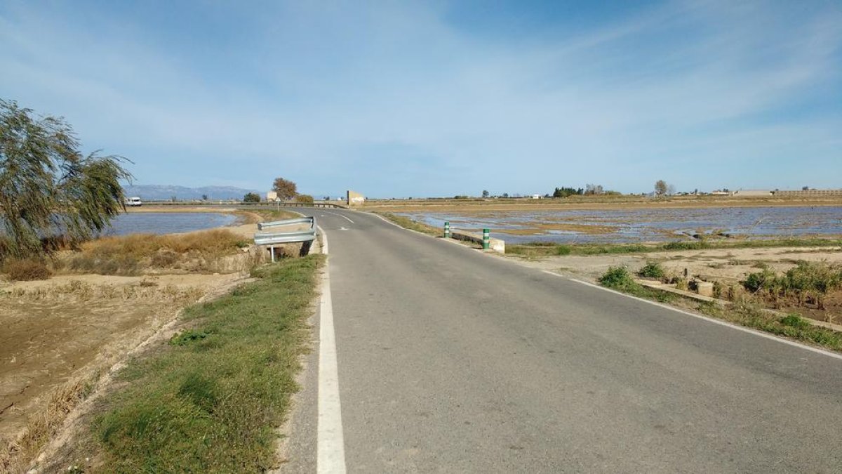 Imatge de l'estat actual de la carretera TV-3401, entre l'Ampolla i Deltebre.