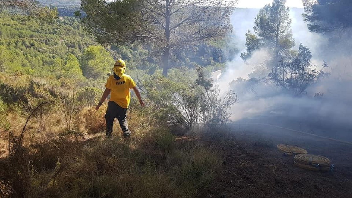 Miembros del ADF en el lugar del fuego.