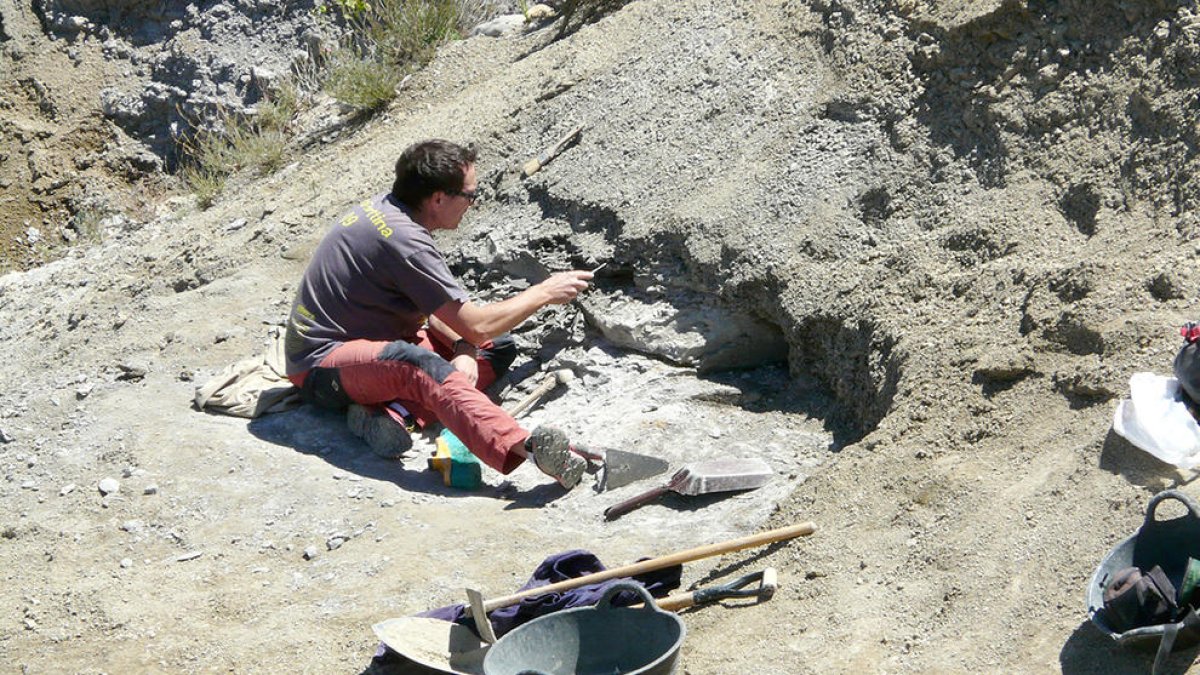 Imatge d'una de les campanyes d'excavació que s'han fet al jaciment del Molí del Baró, a Abella de la Conca.