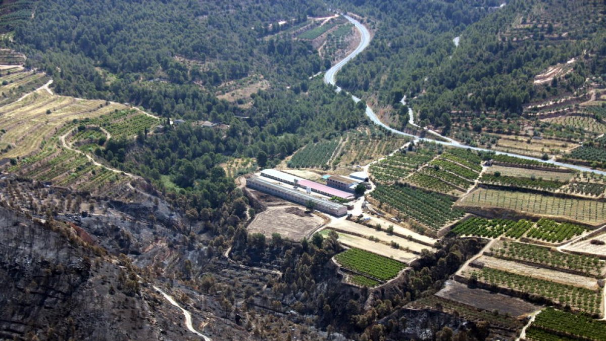 Pla aeri de la granja del municipi de la Torre de l'Espanyol on s'hauria originat l'incendi per l'autocombustió de gallinassa.