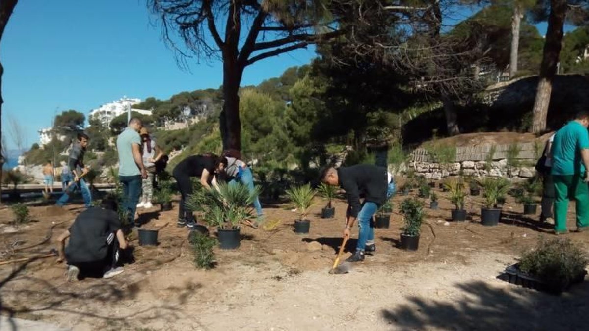 L'Institut d'Horticultura de Reus ha estat l'encarregat