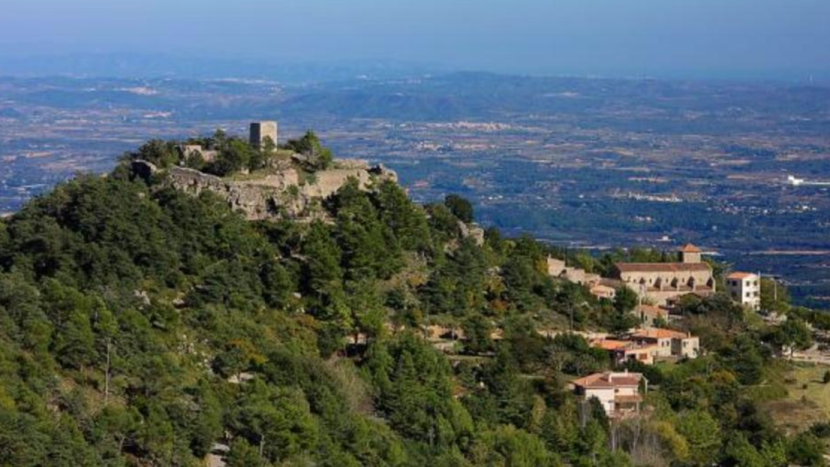 El Castell de l'Albiol vist des de l'aire.