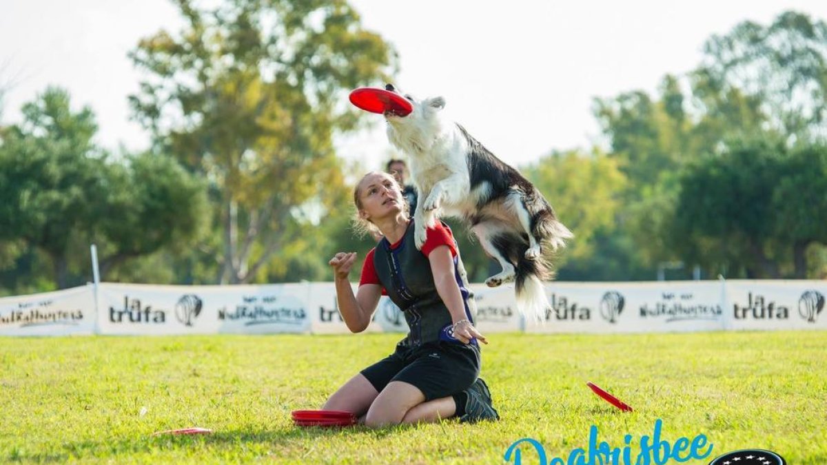 En la competición los perros hacen acrobacias con sus propietarios.