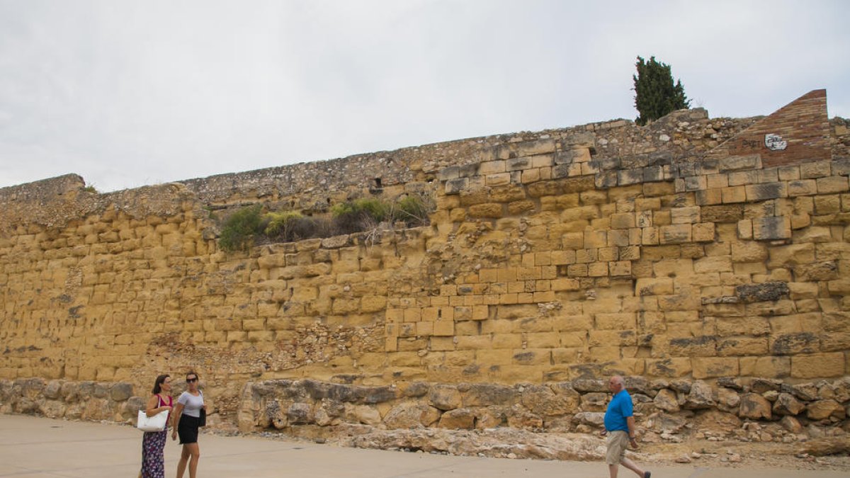 A la plaça de l'Antic Escorxador, els arbustos creixen sense control i posen en perill l'estructura de la Muralla romana
