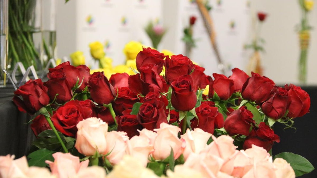 Imatge de roses vermelles i roses aquest abril de 2019 a Mercabarna.