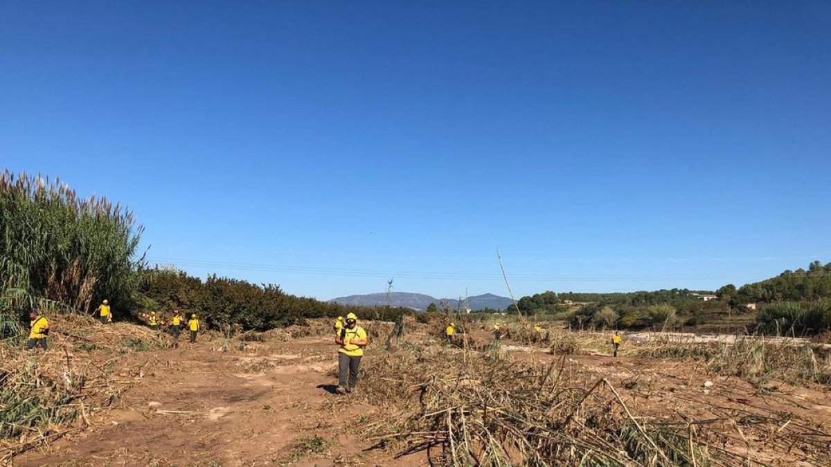 Voluntaris trabajan en la búsqueda de los desaparecidos