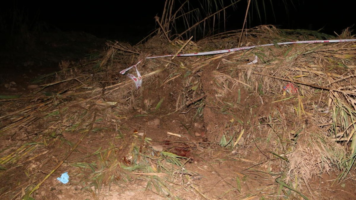 Imatge de la zona de la Pobla de Mafumet on s'ha trobat el cos d'un home que podria ser un dels desapareguts per la llevantada a la Conca del Barberà. Publicada el 27 d'octubre del 2019 (horitzontal)