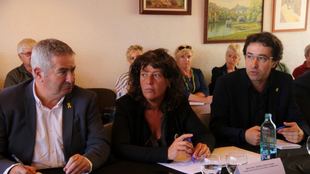 La consellera Teresa Jordà en la reunió amb alcaldes de municips afectats per l'incendi.