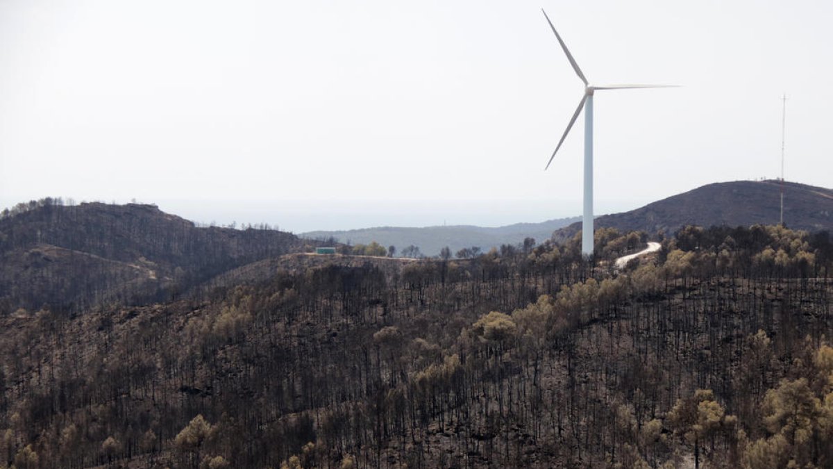 Plano general de la zona quemada por el incendio forestal del Perelló.