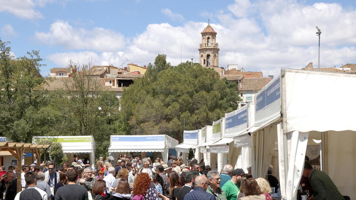 Desenes de persones davant diversos expositors de la 24a edició de la Fira del Vi de Falset, el maig del 2019.