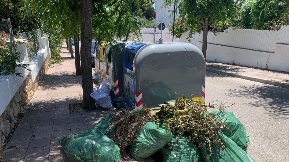 Restos de poda en la acera de la urbanización Mas Roig.