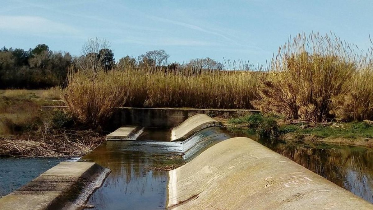 Estación de aforo en el río Francolí a su paso por Tarragona.