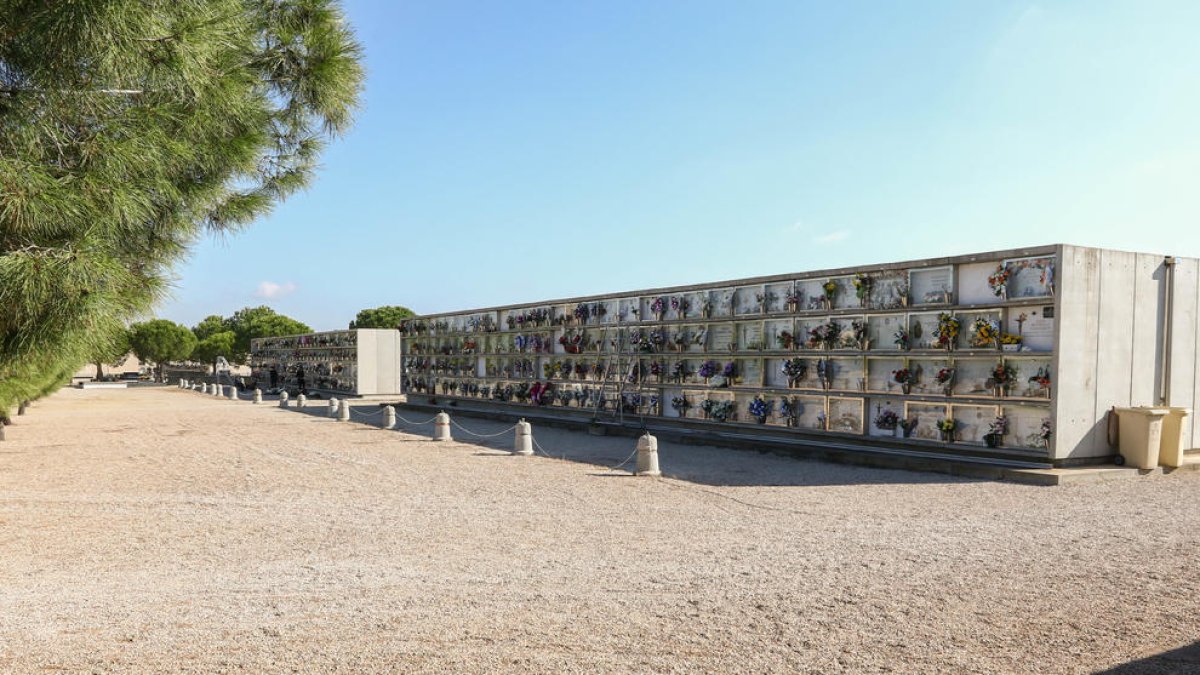 En principi, la intenció és que a futura illa que es crearà ocupi 210 metres quadrats de la part nova.