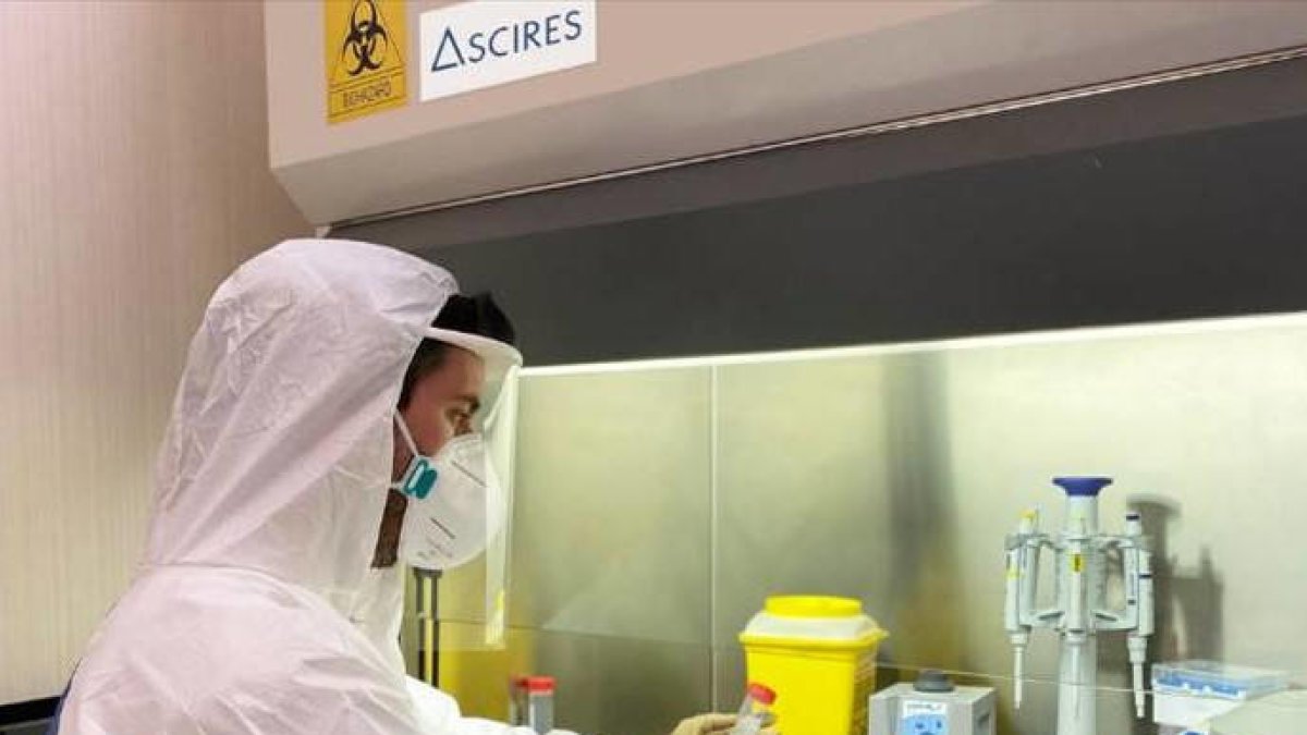Imagen de una investigadora con el nuevo test PCR.