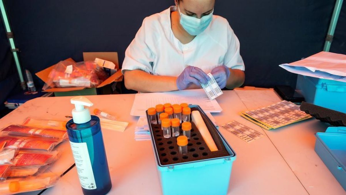 Una trabajadora sanitaria prepara un test PCR.