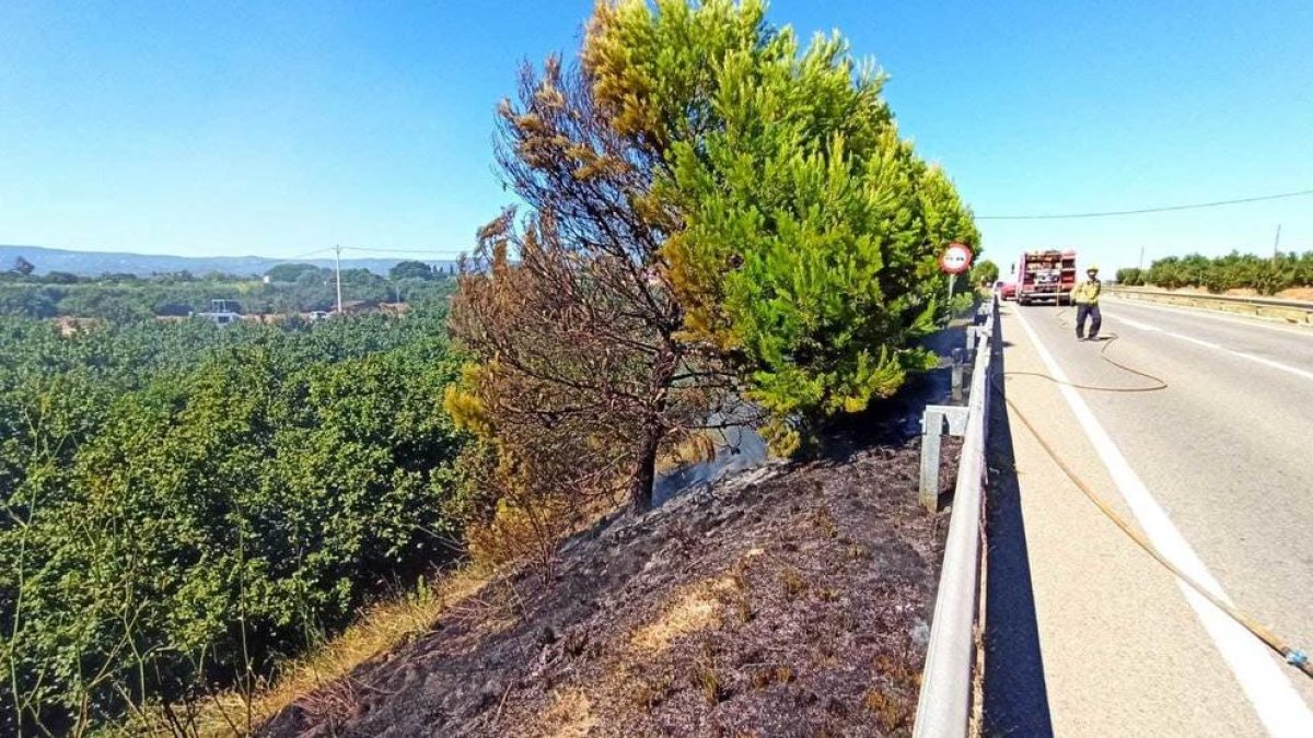 El incendio de cañas