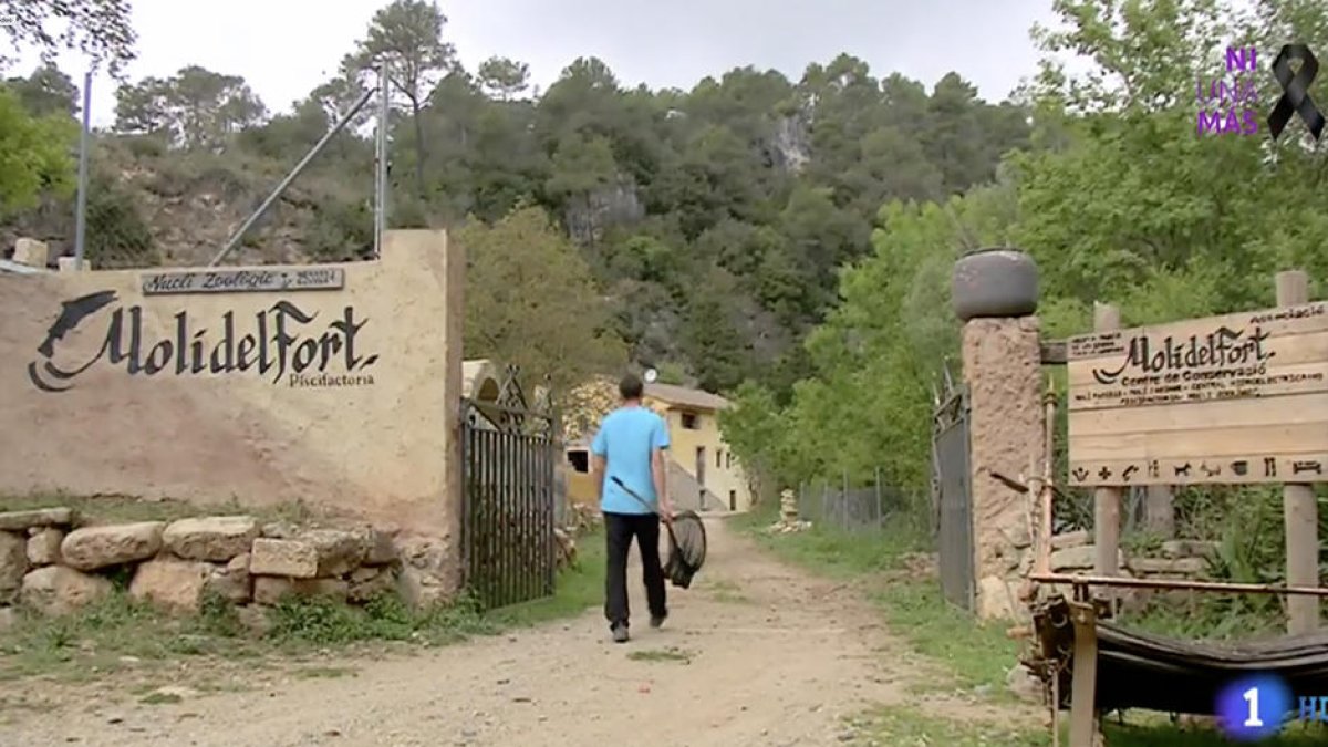 El programa explica l'activitat de conservació animal que es fa al Molí del Fort.