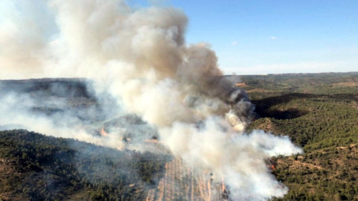 Plano general del incendio de vegetación forestal de Maials.