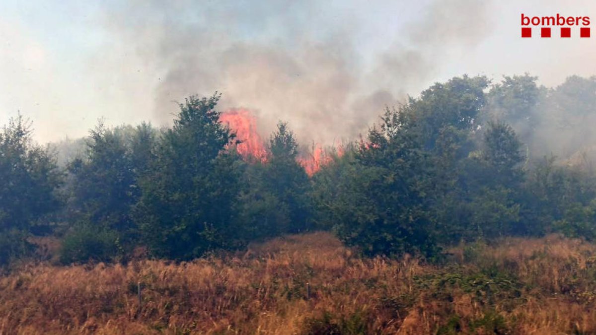 Imatge de les flames de l'incendi.