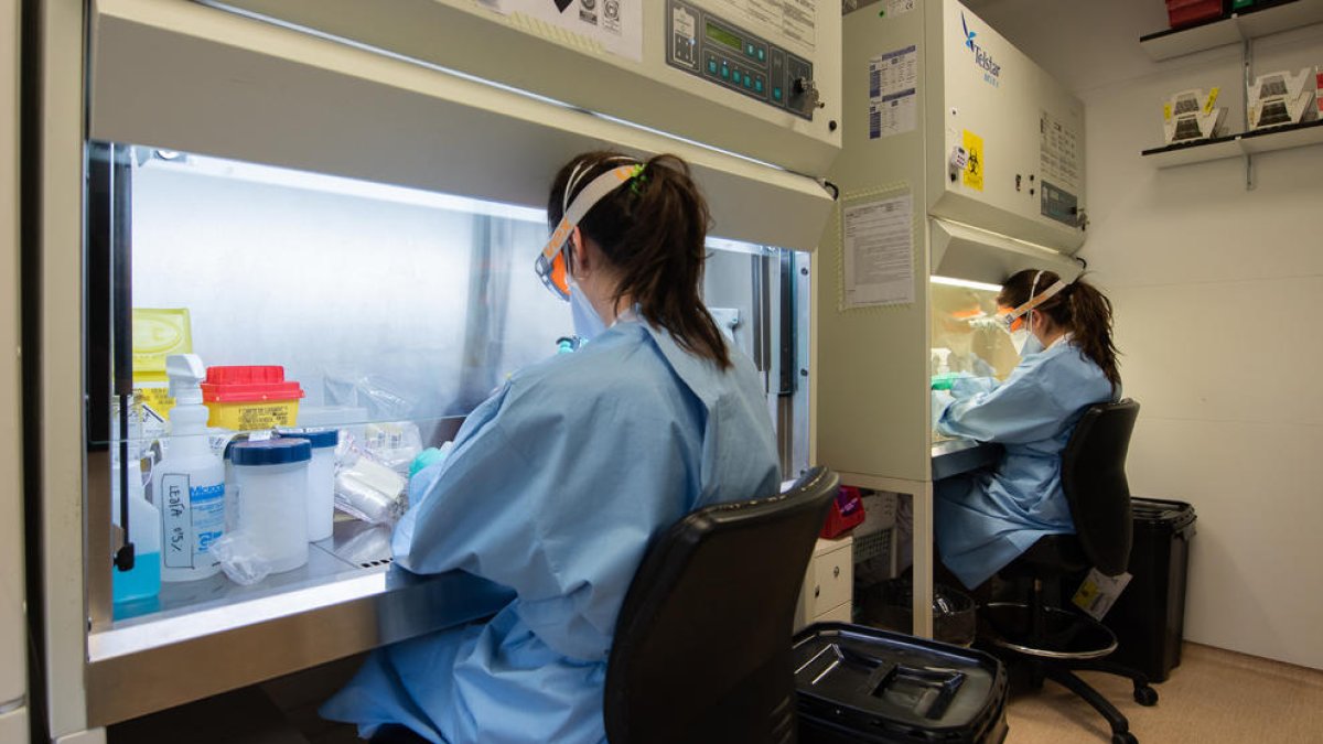 Imagen del laboratorio del Hospital Clínic que hace pruebas de coronavirus.