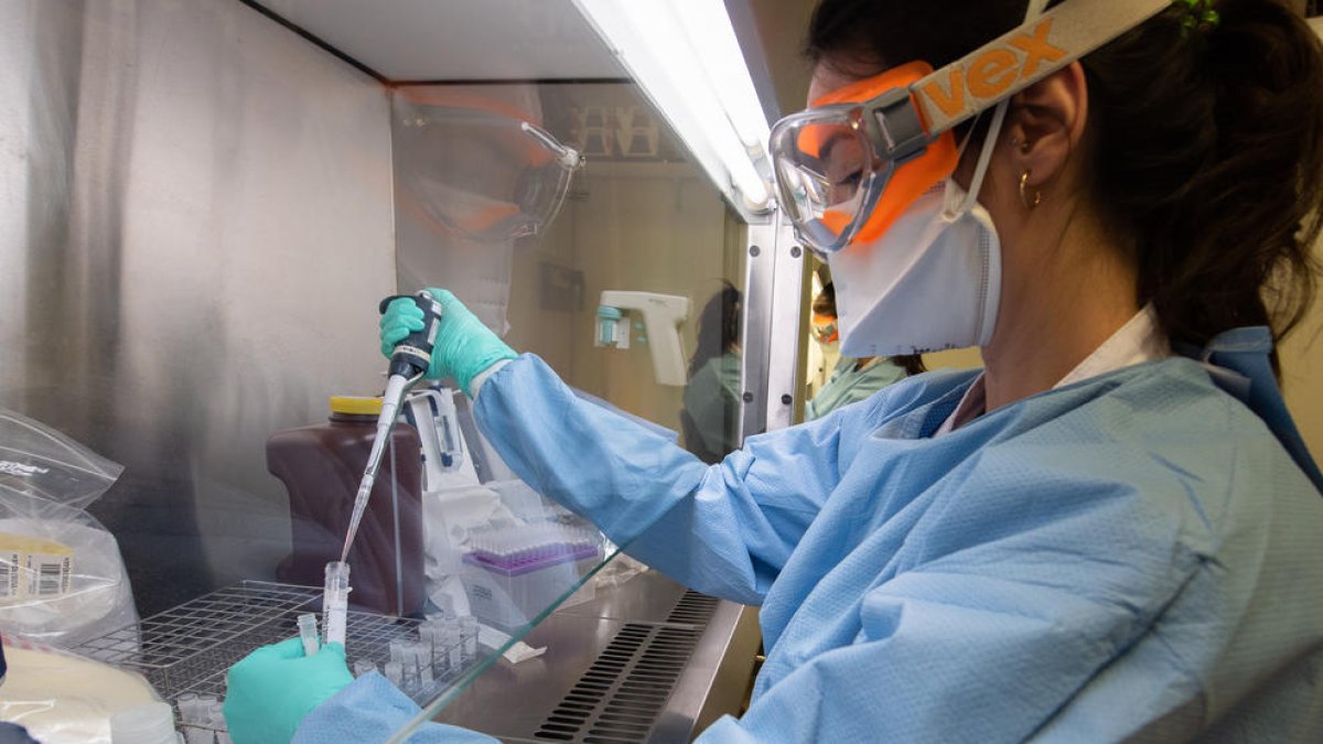 Imagen del laboratorio del Hospital Clínico que hace pruebas de coronavirus