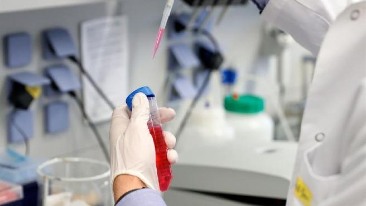 Pfizer y Biontech empezaron a finales de julio los ensayos a gran escala en humanos.