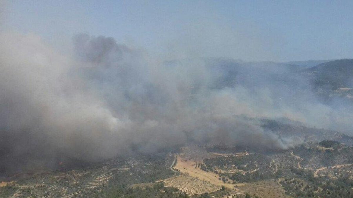 Imagen aérea del incendio forestal de Ribera de Ebro.