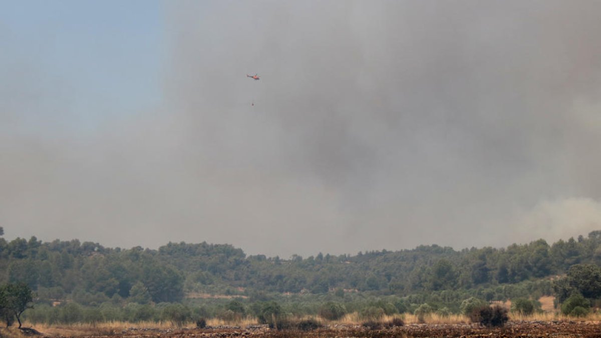 Pla general d'un helicòpter atacant un dels flancs de l'incendi  de la Torre de l'Espanyol. Imatge del 27 de juny de 2019