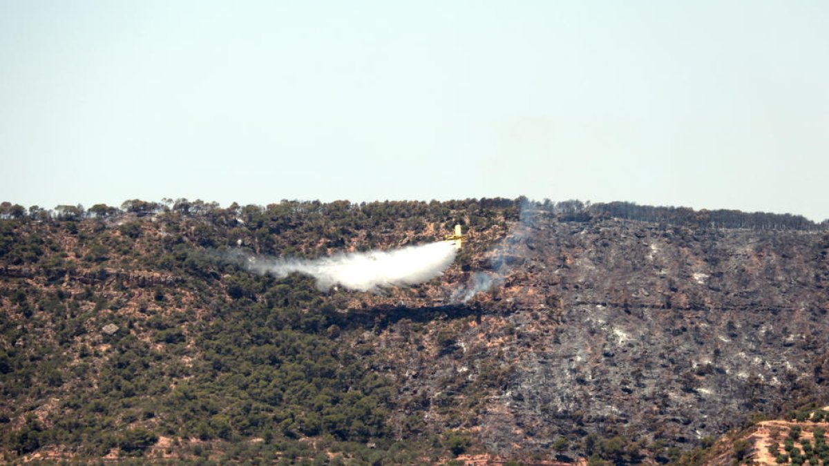 Un hidroavió descarrega aigua a la zona de l'incendi, entre els termes municipals de Bovera i Flix, el 28 de juny del 2019