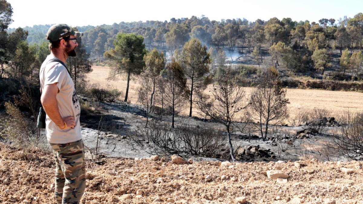 Un vecino de Maials observa la zona afectada por el incendio en este término municipal.