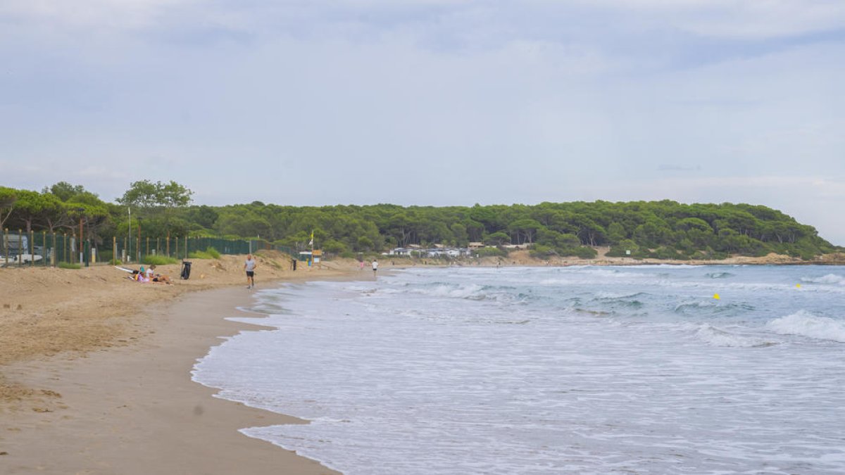 Aspecte que oferia ahir dimarts el sector nord de la platja Llarga, gairebé sense sorra.