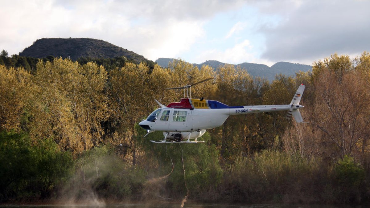 Plano general de un helicóptero vaciando la carga de insecticida biológico BTI en el río Ebro, a la altura del azud de Xerta (Baix Ebre), contra la mosca negra.