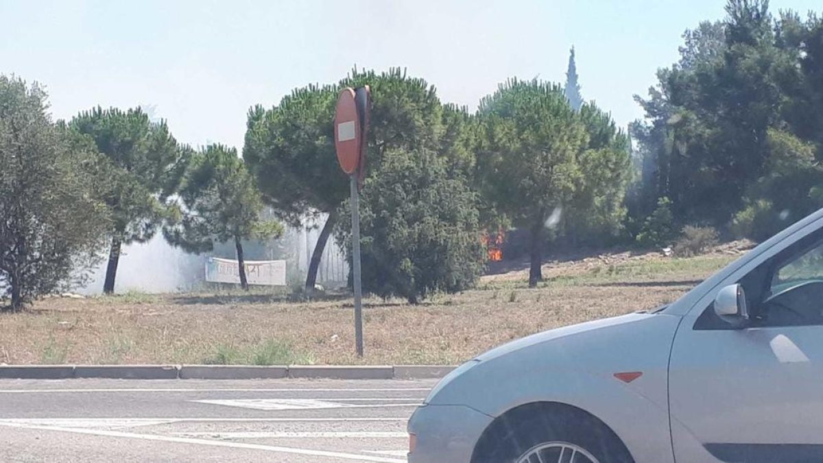 L'incendi s'ha produït al costat de la C-32 a Calafell.