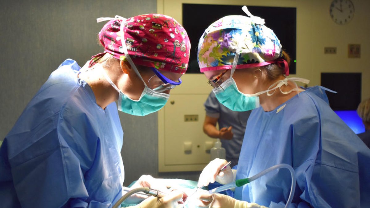 Imatge d'arxiu d'una intervenció a l'Hospital de Santa Caterina de Salt.