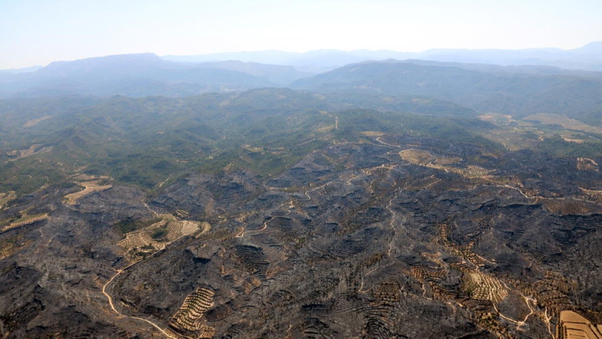 Gran pla geneal de la zona afectada per l'incendi de la Ribera d'Ebre.