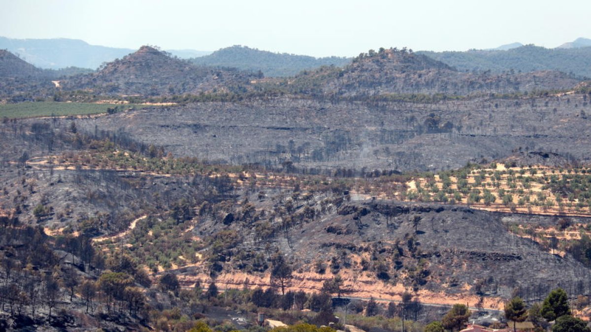 La zona afectada per l'incendi entre els termes de Bovera i Flix.