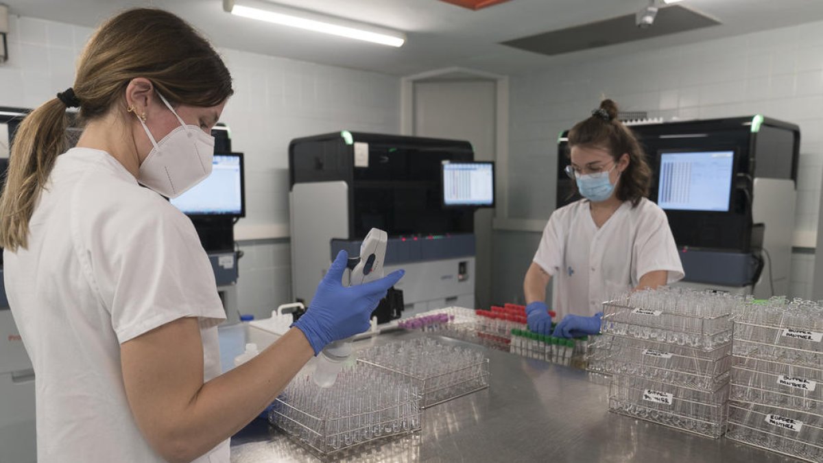 Imatge de personal de laboratori analitzant les proves PCR.