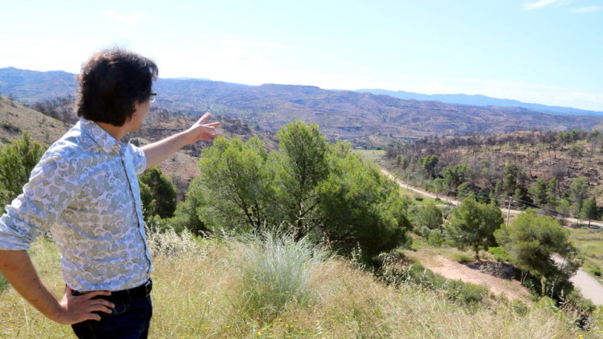 Pla americà de l'alcalde de Flix, Francesc Barbero, assenyalant una de les zones cremades per l'incendi, prop de l'ermita del Remei.