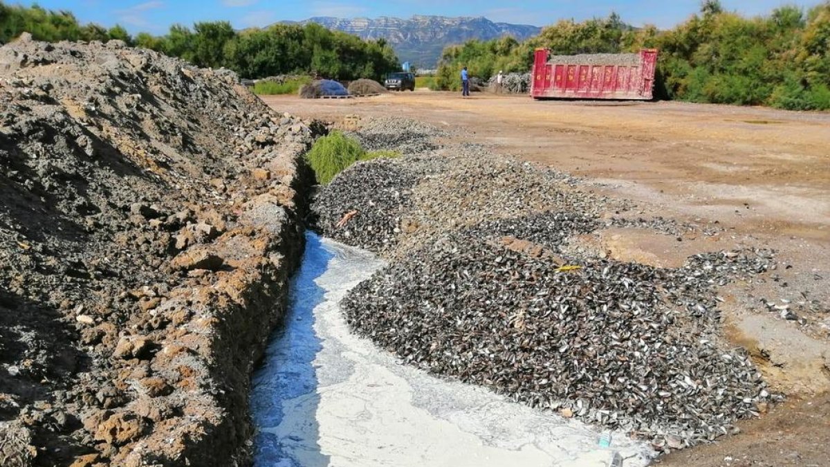 Pla general dels abocaments de restes aqüícoles en uns terrenys de Sant Carles de la Ràpita denunciats pels Mossos.