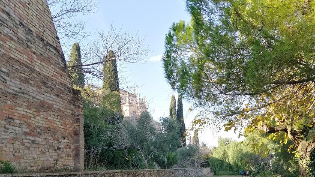 El consistori vol que la falsa braga, un jardí que connecta el Camp de Mart amb el Roqueral, «la pugui aprofitar tothom», diu Puig.