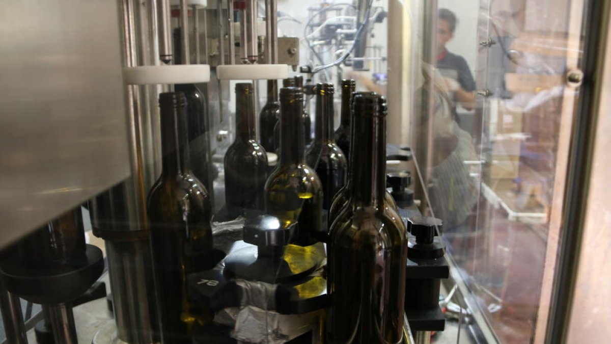 Unas botellas de vino en una maquina en la Bodega Mas Vicenç.