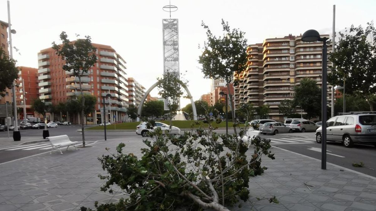 Imagen del árbol caído en la calle Josep Maria Tarrassa de Tarragona.