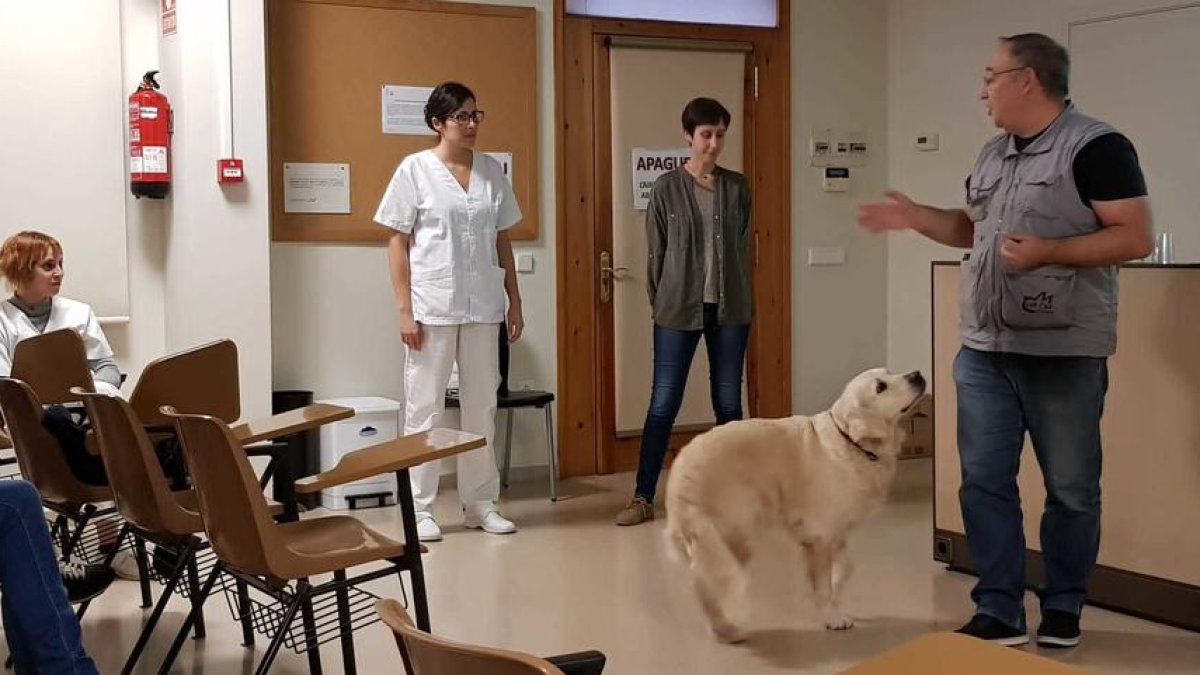 Plano general de una sesión de terapia con perros, denominada canoterapia.