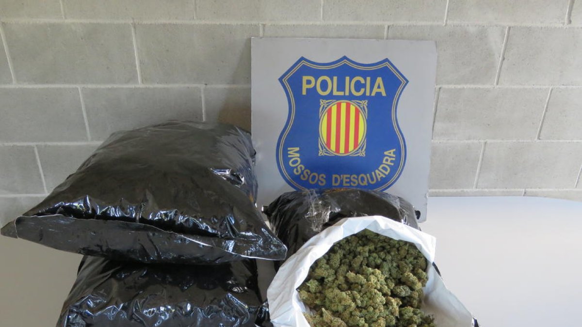 Imatge general de la marihuana trobada al vehicle