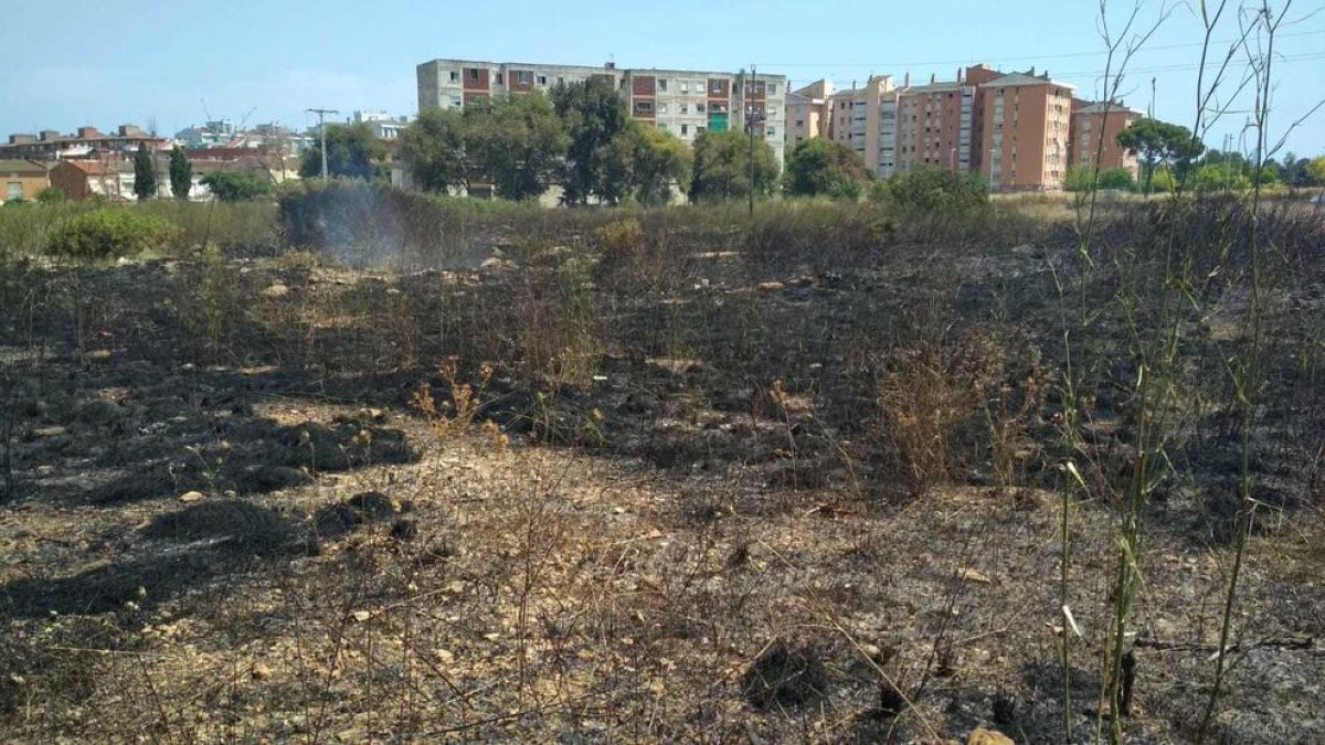 Imagen de la zona quemada.