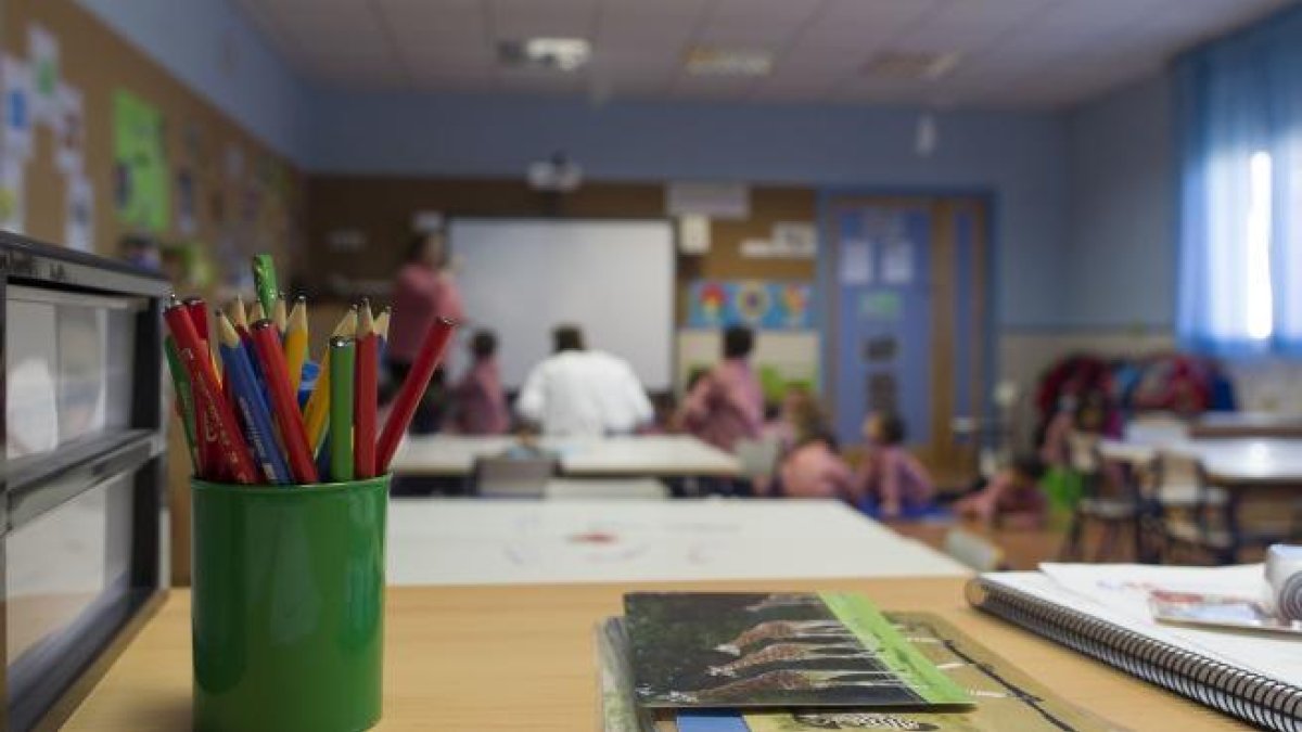 El CERMI demana ala ministra Celaá una transició cap a na escola inclusiva.