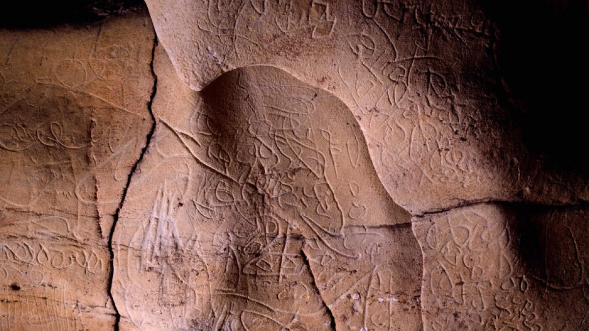 Detalls dels gravats localitzats a l'interior de la Cova de la Font Major.
